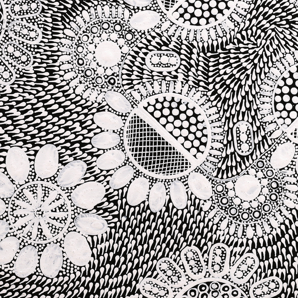 Aboriginal Artwork by Jocelyn Napanangka Frank, Lukarrara Jukurrpa, 40x40cm