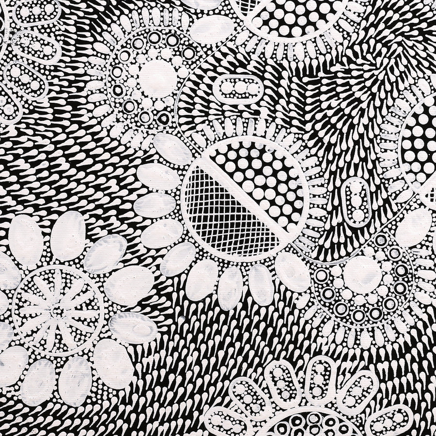 Aboriginal Artwork by Jocelyn Napanangka Frank, Lukarrara Jukurrpa, 40x40cm