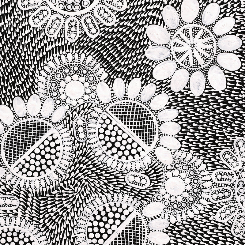 Aboriginal Artwork by Jocelyn Napanangka Frank, Lukarrara Jukurrpa, 40x40cm