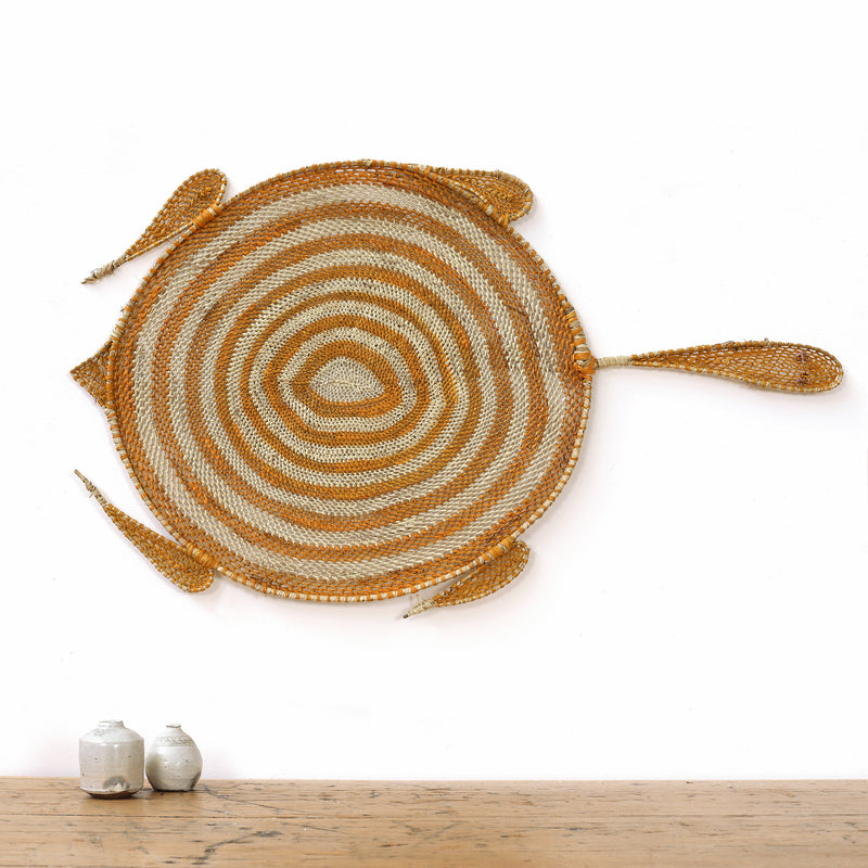 Aboriginal Artwork by Jocelyn Koyole, Komrdawh - long neck turtle, 74x44cm