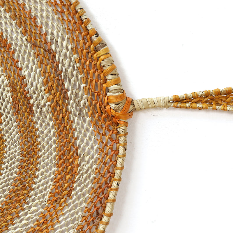 Aboriginal Artwork by Jocelyn Koyole, Komrdawh - long neck turtle, 74x44cm