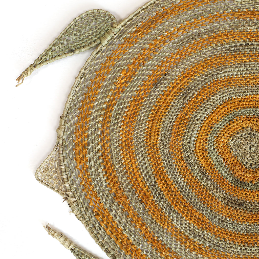 Aboriginal Artwork by Jocelyn Koyole, Komrdawh - long neck turtle, 64x44cm