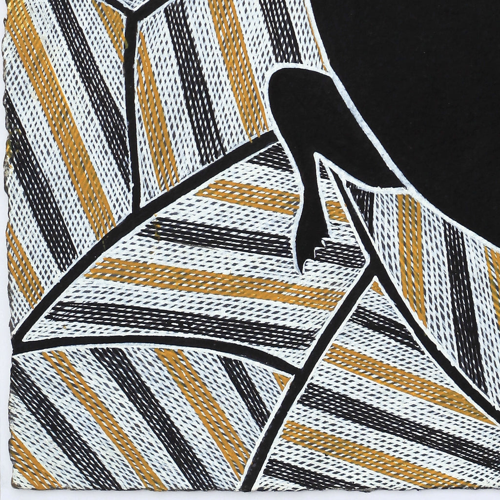 Aboriginal Artwork by Johnny Malibirr Warrkatja, Nyangura (long neck turtle), Gapuwiyak - 53x38cm