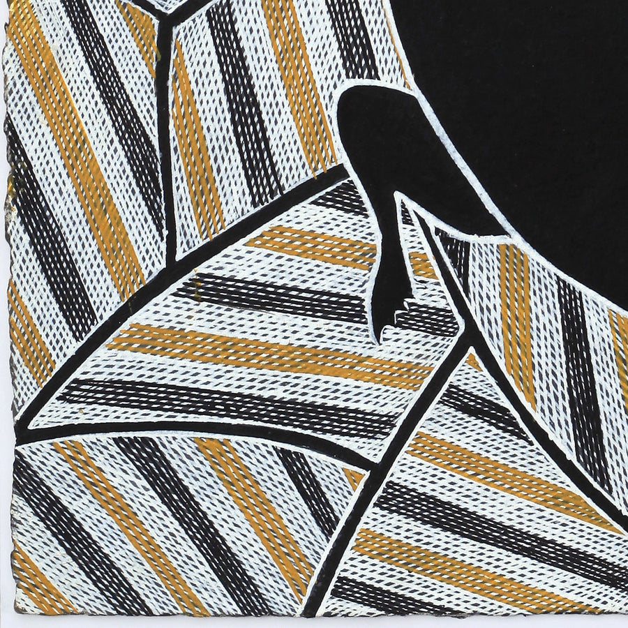 Aboriginal Artwork by Johnny Malibirr Warrkatja, Nyangura (long neck turtle), Gapuwiyak - 53x38cm