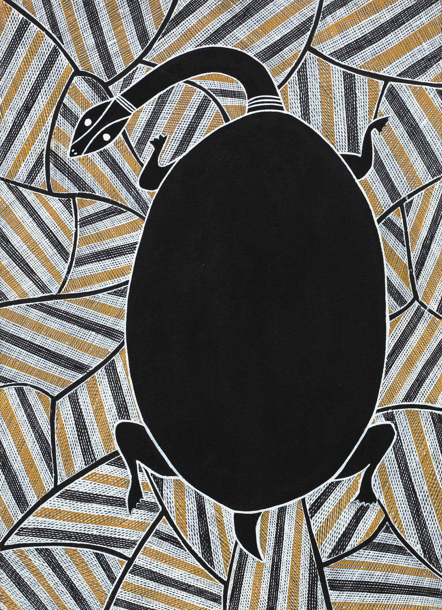 Aboriginal Artwork by Johnny Malibirr Warrkatja, Nyangura (long neck turtle), Gapuwiyak - 53x38cm
