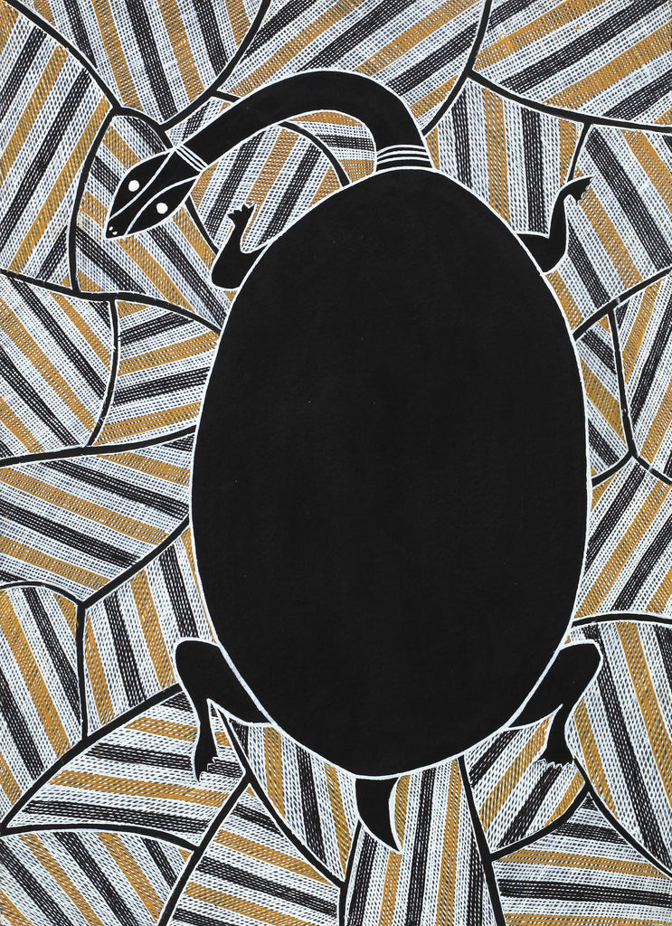 Aboriginal Artwork by Johnny Malibirr Warrkatja, Nyangura (long neck turtle), Gapuwiyak - 53x38cm