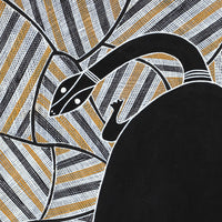 Aboriginal Artwork by Johnny Malibirr Warrkatja, Nyangura (long neck turtle), Gapuwiyak - 53x38cm