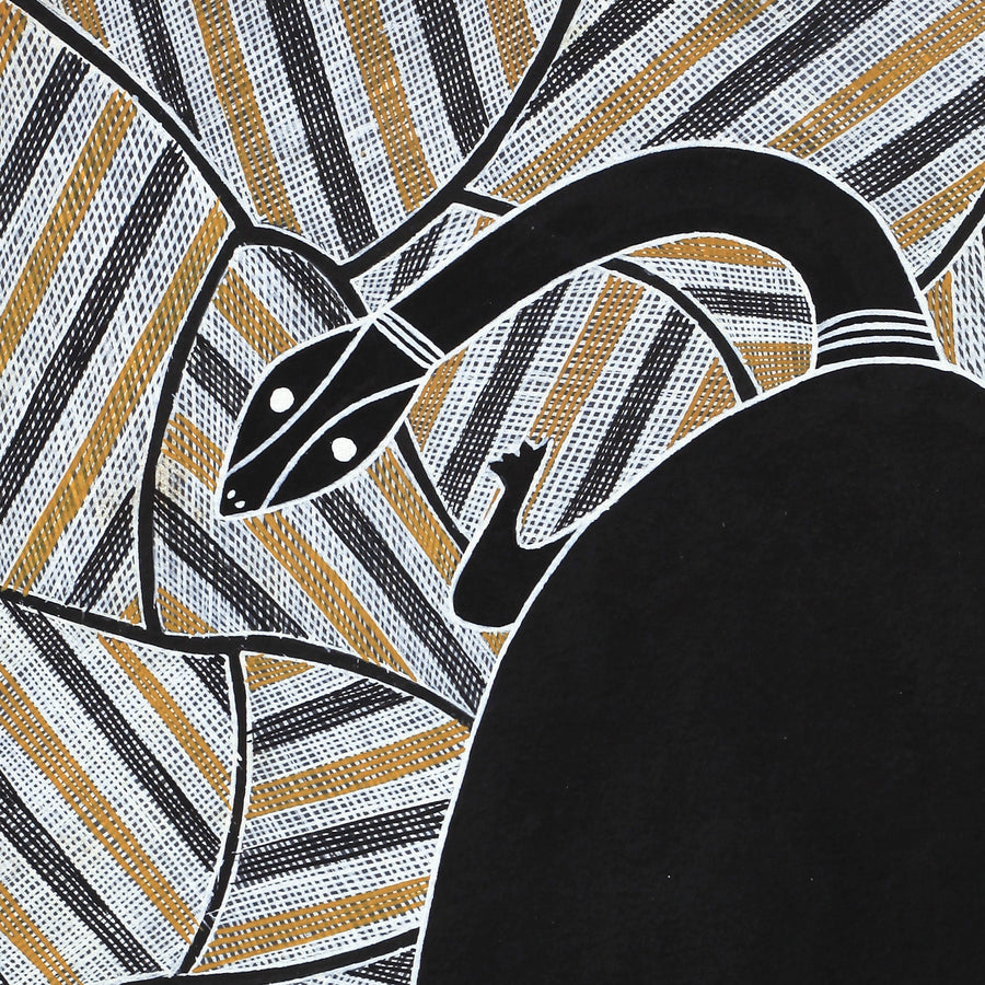 Aboriginal Artwork by Johnny Malibirr Warrkatja, Nyangura (long neck turtle), Gapuwiyak - 53x38cm