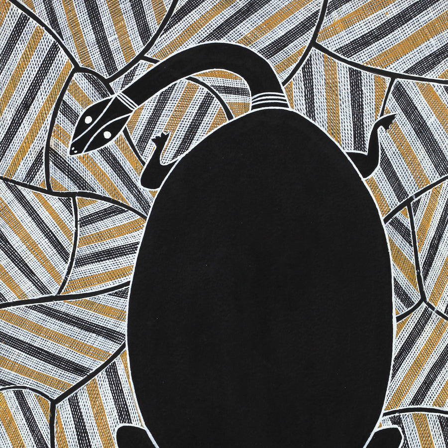 Aboriginal Artwork by Johnny Malibirr Warrkatja, Nyangura (long neck turtle), Gapuwiyak - 53x38cm
