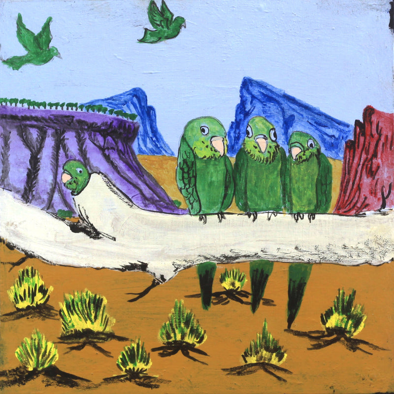 Aboriginal Artwork by Jonathan Jakamarra Ross, Ngatijirri Jukurrpa (Budgerigar Dreaming), 30x30cm