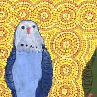 Aboriginal Artwork by Jonathan Jakamarra Ross, Ngatijirri Jukurrpa (Budgerigar Dreaming), 30x30cm