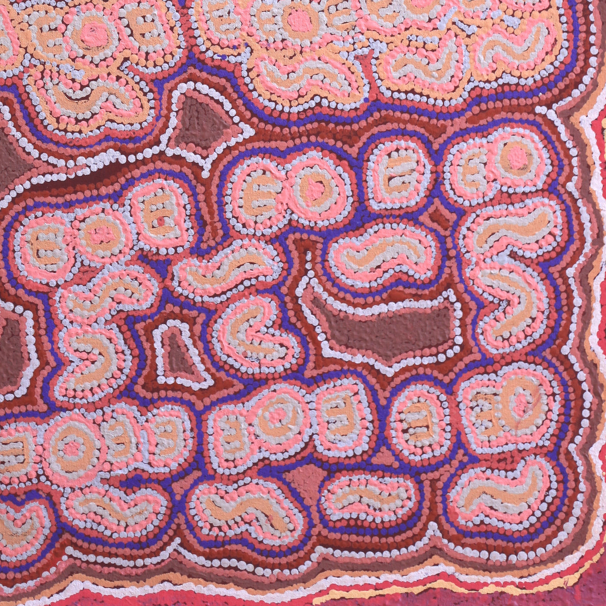 Aboriginal Artwork by Jorna Napurrurla Nelson, Janganpa Jukurrpa (Brush-tailed Possum Dreaming), 107x61cm