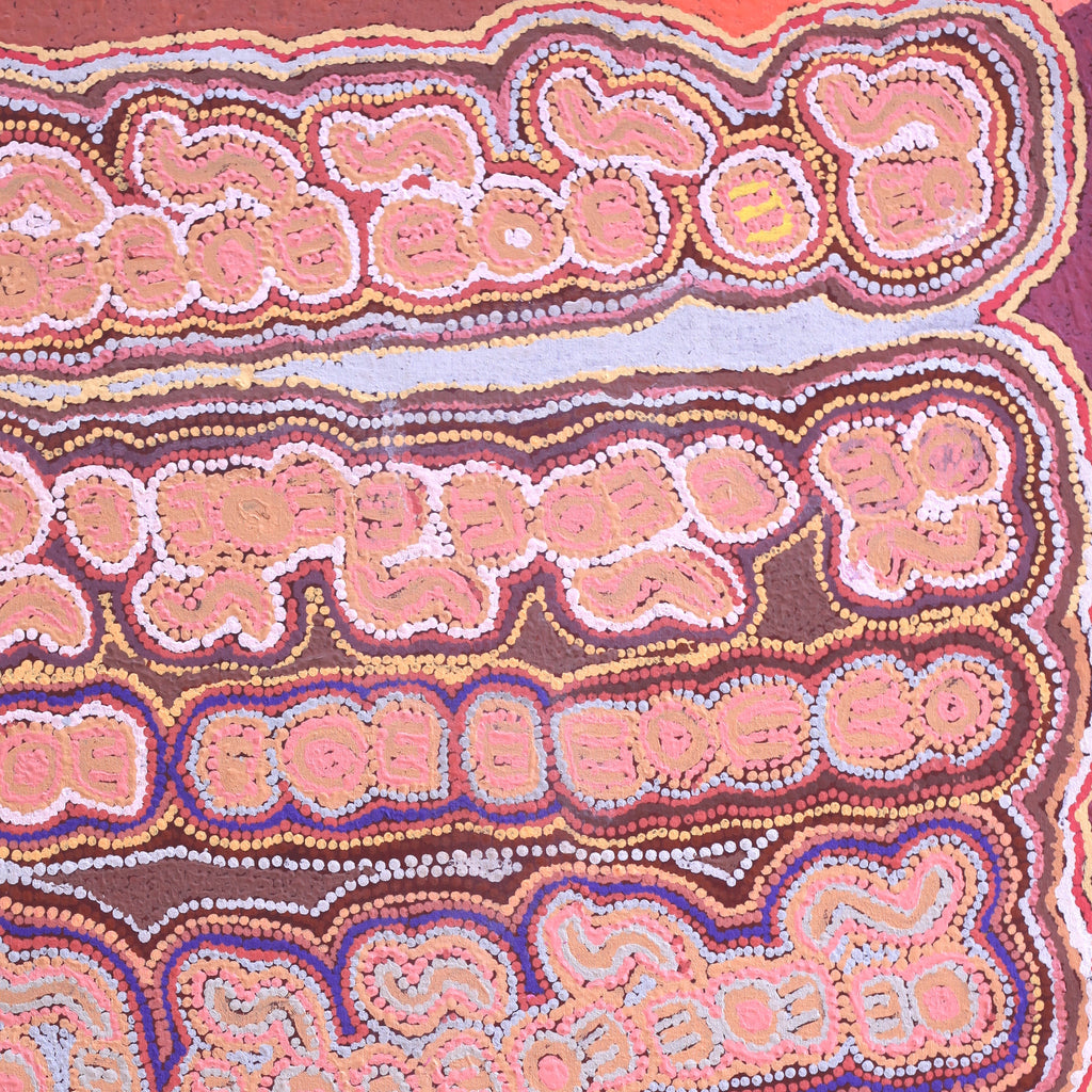 Aboriginal Artwork by Jorna Napurrurla Nelson, Janganpa Jukurrpa (Brush-tailed Possum Dreaming), 107x61cm