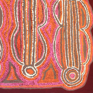 Cushion Cover 40x40cm Jorna Napurrurla Nelson JNN643 - Better World Arts