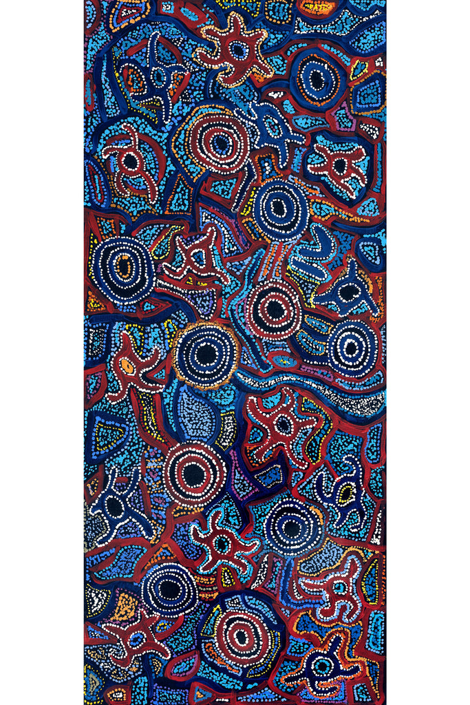 Aboriginal Artwork by Joy Nangala Brown, Yumari Jukurrpa, 107x46cm