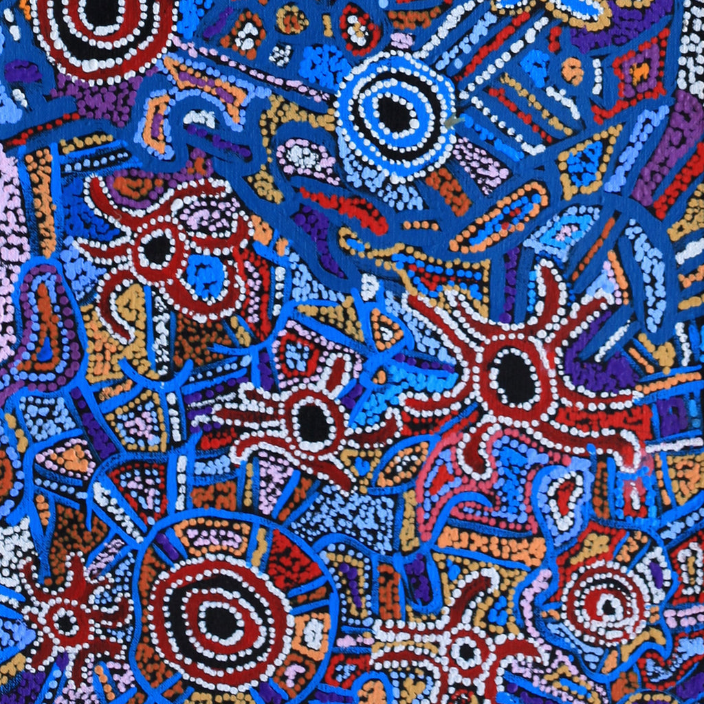 Aboriginal Artwork by Joy Nangala Brown, Yumari Jukurrpa, 107x30cm