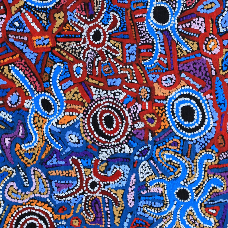 Aboriginal Artwork by Joy Nangala Brown, Yumari Jukurrpa, 107x30cm