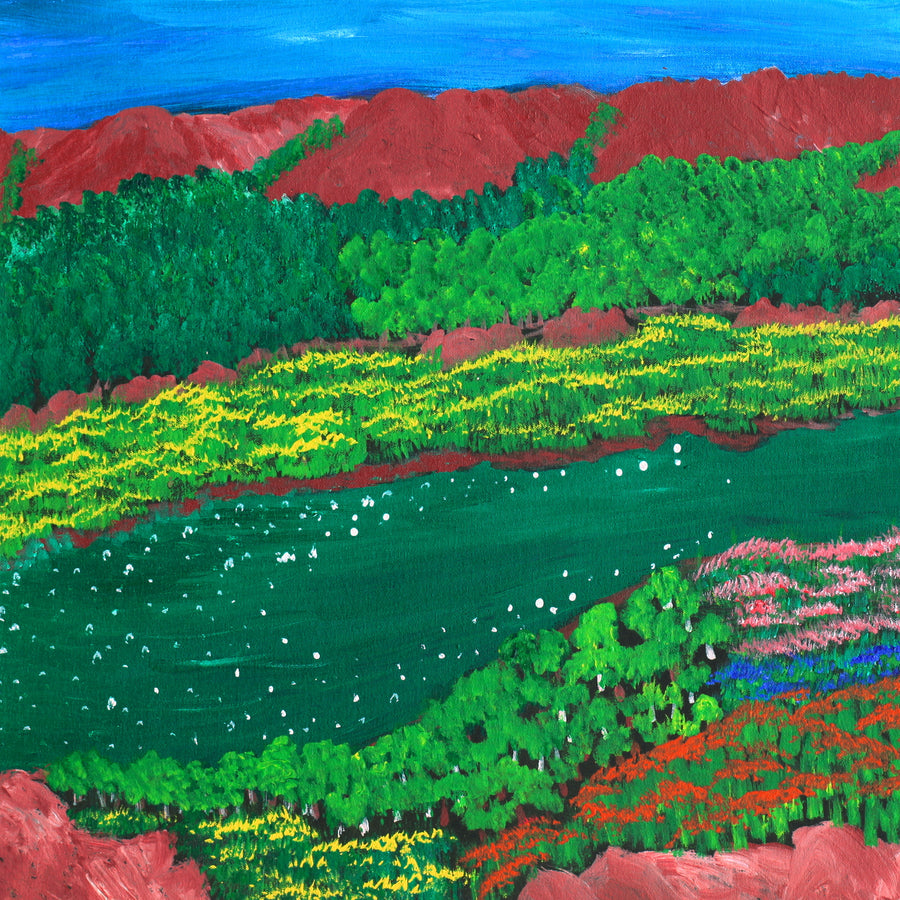 Aboriginal Artwork by Joyce Huddleston, Long Billabong, 76x60cm
