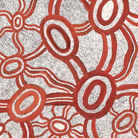 Aboriginal Artwork by Judith Nungarrayi Martin, Janganpa Jukurrpa (Brush-tail Possum Dreaming) - Mawurrji, 107x91cm