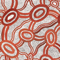 Aboriginal Artwork by Judith Nungarrayi Martin, Janganpa Jukurrpa (Brush-tail Possum Dreaming) - Mawurrji, 107x91cm