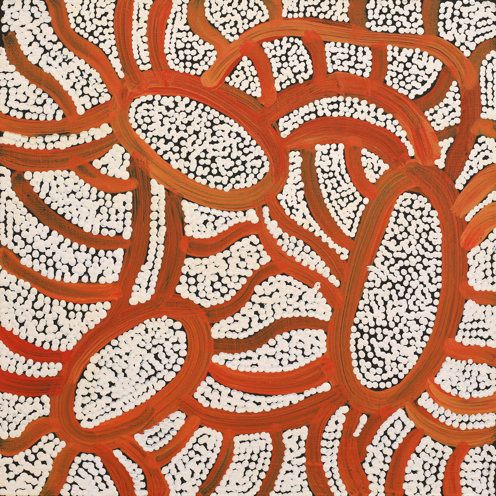 Aboriginal Art by Judith Nungarrayi Martin, Janganpa Jukurrpa (Brush-tail Possum Dreaming) - Mawurrji, 30x30cm - ART ARK®