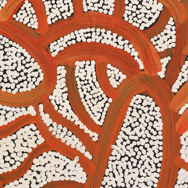 Aboriginal Artwork by Judith Nungarrayi Martin, Janganpa Jukurrpa (Brush-tail Possum Dreaming) - Mawurrji, 30x30cm