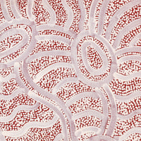 Aboriginal Artwork by Judith Nungarrayi Martin, Janganpa Jukurrpa (Brush-tail Possum Dreaming)- Mawurrji, 30x30cm