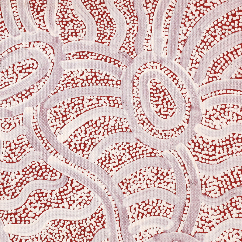 Aboriginal Art by Judith Nungarrayi Martin, Janganpa Jukurrpa (Brush-tail Possum Dreaming)-  Mawurrji, 30x30cm - ART ARK®