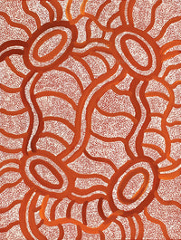 Aboriginal Artwork by Judith Nungarrayi Martin, Janganpa Jukurrpa (Brush-tail Possum Dreaming) - Mawurrji, 61x46cm