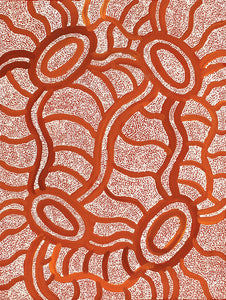 Aboriginal Artwork by Judith Nungarrayi Martin, Janganpa Jukurrpa (Brush-tail Possum Dreaming) - Mawurrji, 61x46cm - ART ARK®