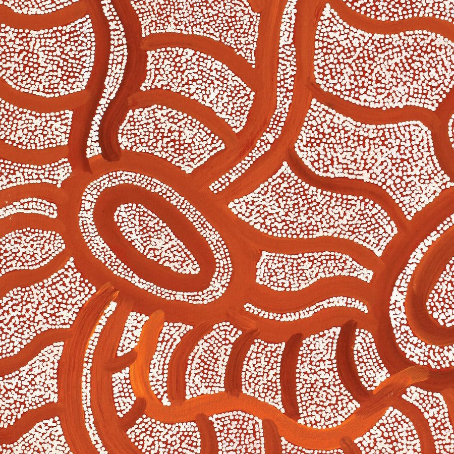 Aboriginal Artwork by Judith Nungarrayi Martin, Janganpa Jukurrpa (Brush-tail Possum Dreaming) - Mawurrji, 61x46cm