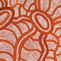 Aboriginal Artwork by Judith Nungarrayi Martin, Janganpa Jukurrpa (Brush-tail Possum Dreaming) - Mawurrji, 61x46cm