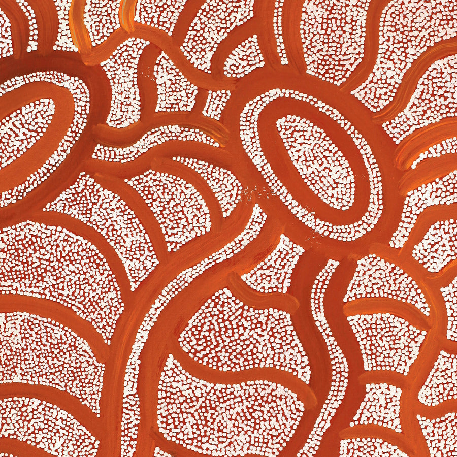 Aboriginal Artwork by Judith Nungarrayi Martin, Janganpa Jukurrpa (Brush-tail Possum Dreaming) - Mawurrji, 61x46cm