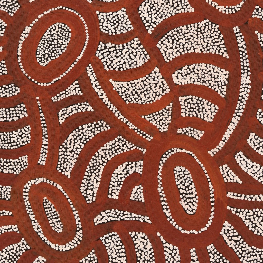 Aboriginal Artwork by Judith Nungarrayi Martin, Janganpa Jukurrpa (Brush-tail Possum Dreaming) - Mawurrji, 76x30cm