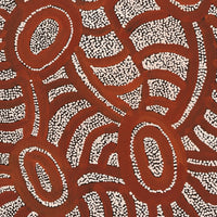 Aboriginal Artwork by Judith Nungarrayi Martin, Janganpa Jukurrpa (Brush-tail Possum Dreaming) - Mawurrji, 76x30cm