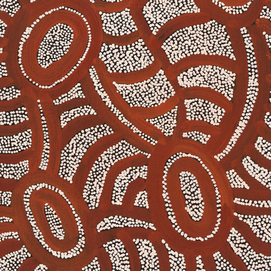Aboriginal Artwork by Judith Nungarrayi Martin, Janganpa Jukurrpa (Brush-tail Possum Dreaming) - Mawurrji, 76x30cm