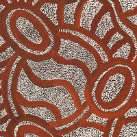 Aboriginal Artwork by Judith Nungarrayi Martin, Janganpa Jukurrpa (Brush-tail Possum Dreaming) - Mawurrji, 76x30cm