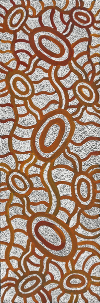 Aboriginal Artwork by Judith Nungarrayi Martin, Janganpa Jukurrpa (Brush-tail Possum Dreaming) - Mawurrji, 76x30cm