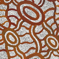 Aboriginal Artwork by Judith Nungarrayi Martin, Janganpa Jukurrpa (Brush-tail Possum Dreaming) - Mawurrji, 91x30cm