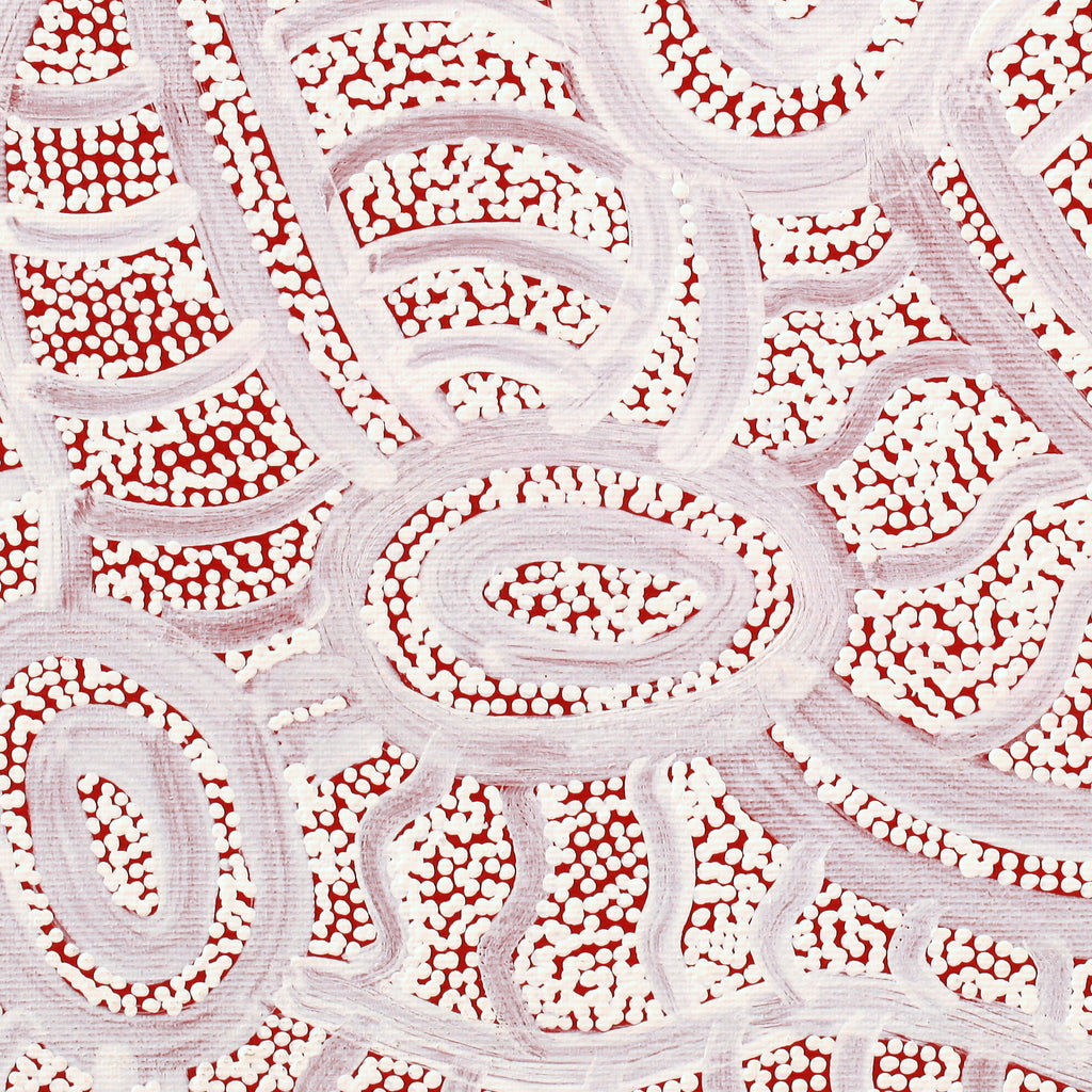 Aboriginal Artwork by Judith Nungarrayi Martin, Janganpa Jukurrpa (Brush-tail Possum Dreaming) - Mawurrji, 30x30cm