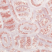 Aboriginal Artwork by Judith Nungarrayi Martin, Janganpa Jukurrpa (Brush-tail Possum Dreaming) - Mawurrji, 30x30cm