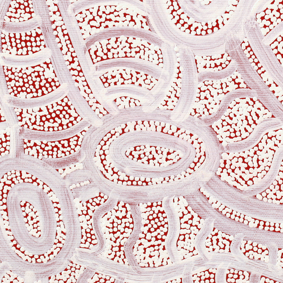 Aboriginal Artwork by Judith Nungarrayi Martin, Janganpa Jukurrpa (Brush-tail Possum Dreaming) - Mawurrji, 30x30cm