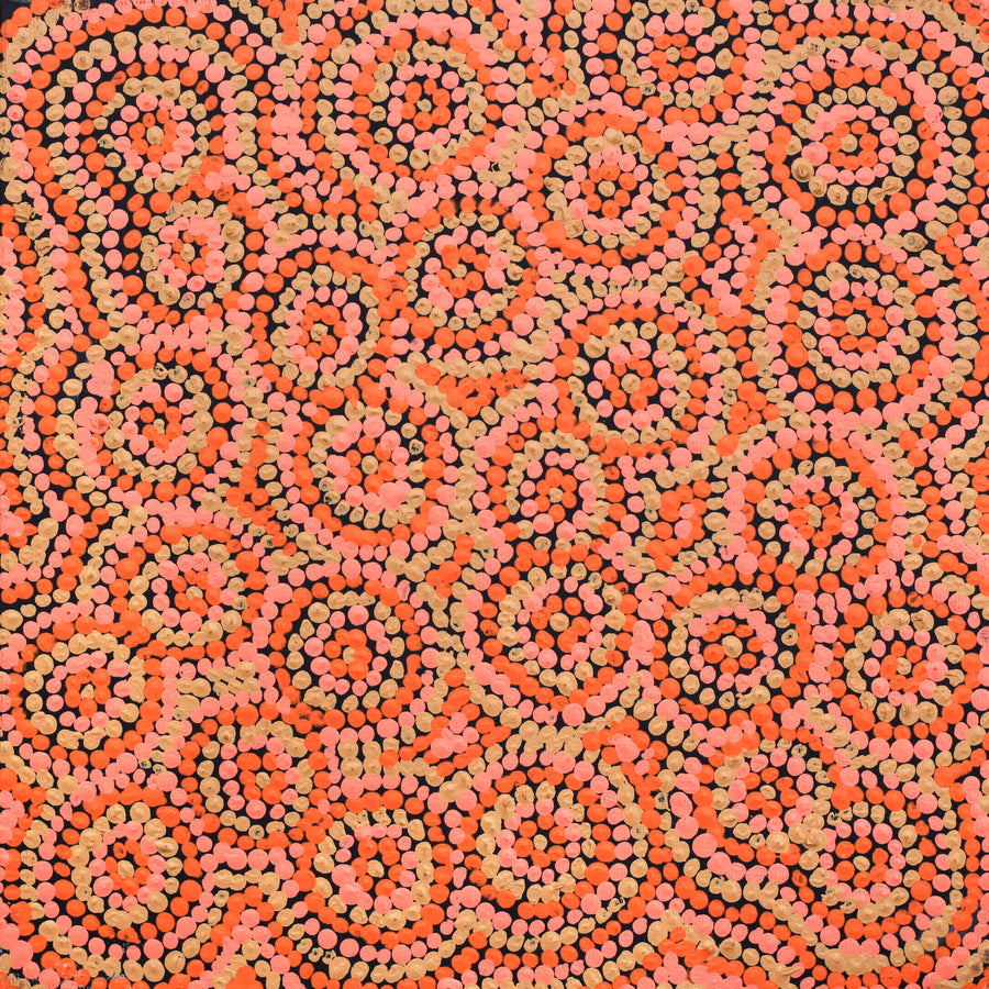 Aboriginal Artwork by Judith Napangardi Hargraves, Ngalyipi Jukurrpa (Snake Vine Dreaming) - Purturlu, 30x30cm