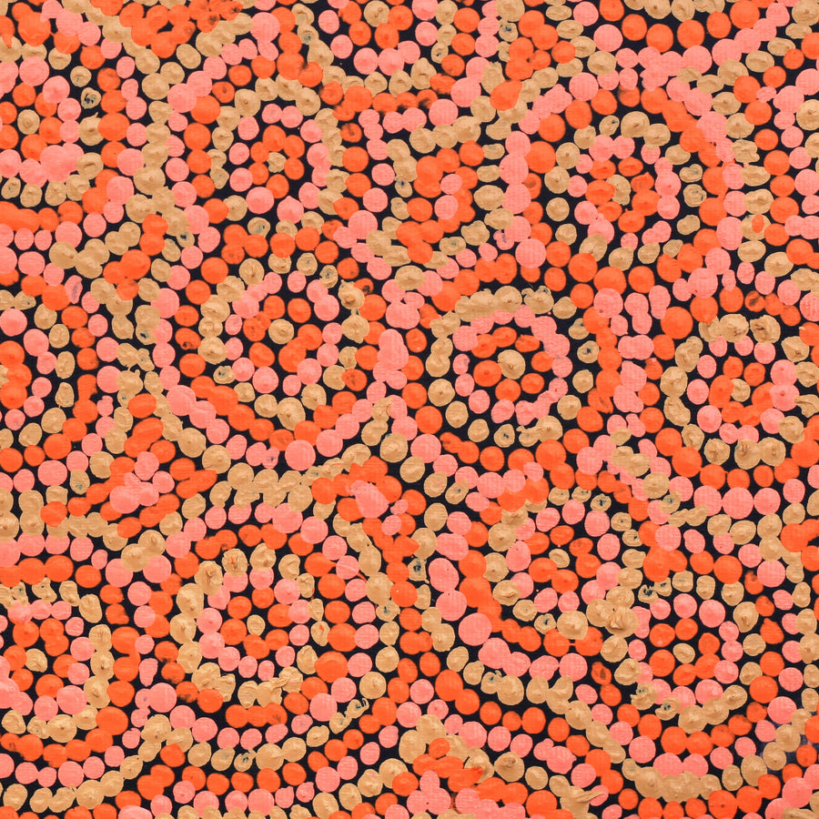 Aboriginal Artwork by Judith Napangardi Hargraves, Ngalyipi Jukurrpa (Snake Vine Dreaming) - Purturlu, 30x30cm
