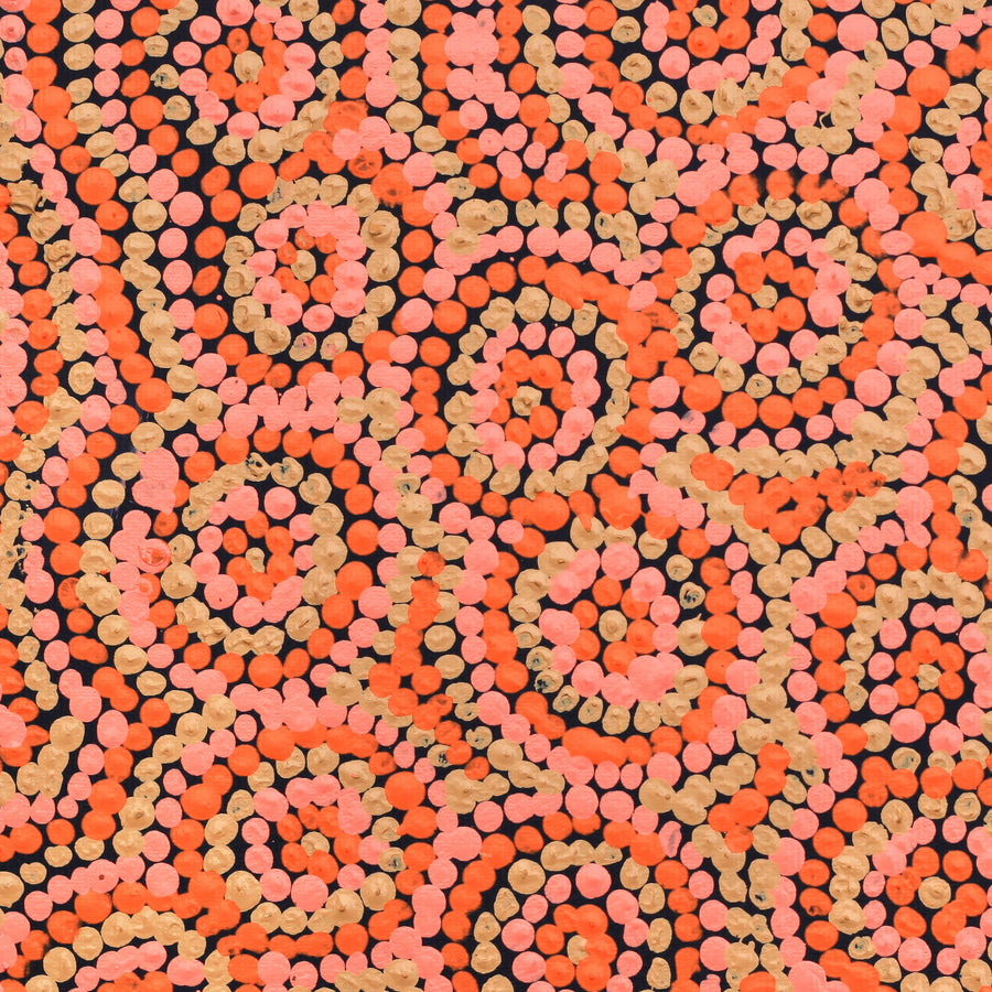 Aboriginal Artwork by Judith Napangardi Hargraves, Ngalyipi Jukurrpa (Snake Vine Dreaming) - Purturlu, 30x30cm