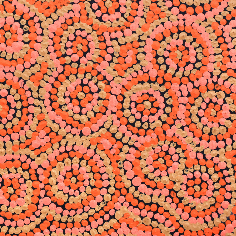Aboriginal Artwork by Judith Napangardi Hargraves, Ngalyipi Jukurrpa (Snake Vine Dreaming) - Purturlu, 30x30cm