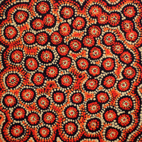 Aboriginal Artwork by Judith Napangardi Hargraves, Ngalyipi Jukurrpa (Snake Vine Dreaming) - Purturlu, 30x30cm