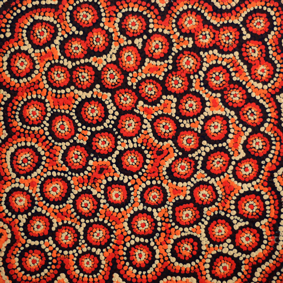 Aboriginal Artwork by Judith Napangardi Hargraves, Ngalyipi Jukurrpa (Snake Vine Dreaming) - Purturlu, 30x30cm