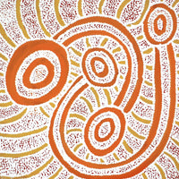 Aboriginal Artwork by Judith Nungarrayi Martin, Janganpa Jukurrpa (Brush-tail Possum Dreaming)- Mawurrji, 30x30cm