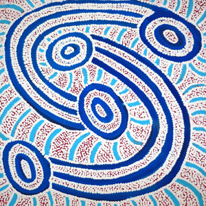 Aboriginal Artwork by Judith Nungarrayi Martin, Janganpa Jukurrpa (Brush-tail Possum Dreaming)-  Mawurrji, 30x30cm - ART ARK®